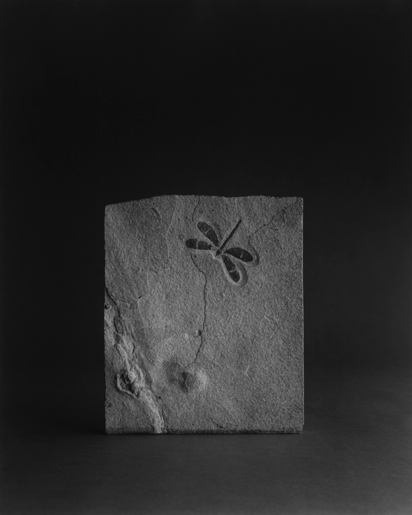 cahiers d\'art gallery: hiroshi sugimoto 
