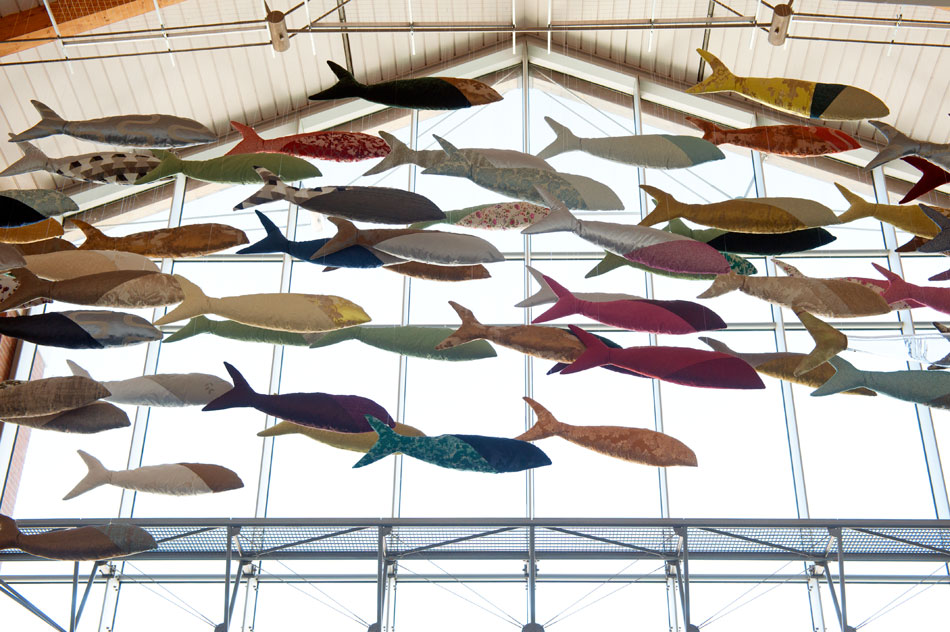 carlo moretti: air swimming installation by anna paola cibin