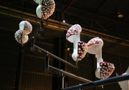 carsten holler doubt exhibition at hangarbicocca designboom