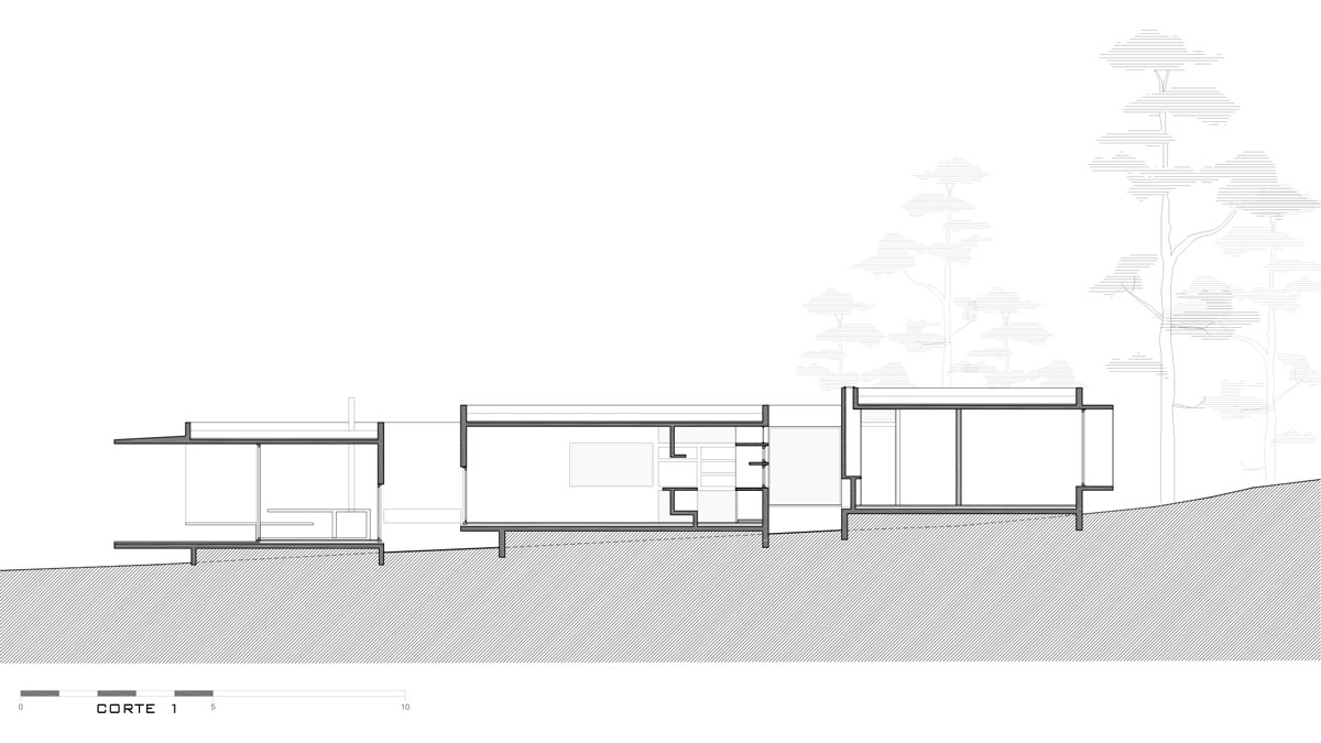 besonias-almeida-casa-bosque-designboom-017