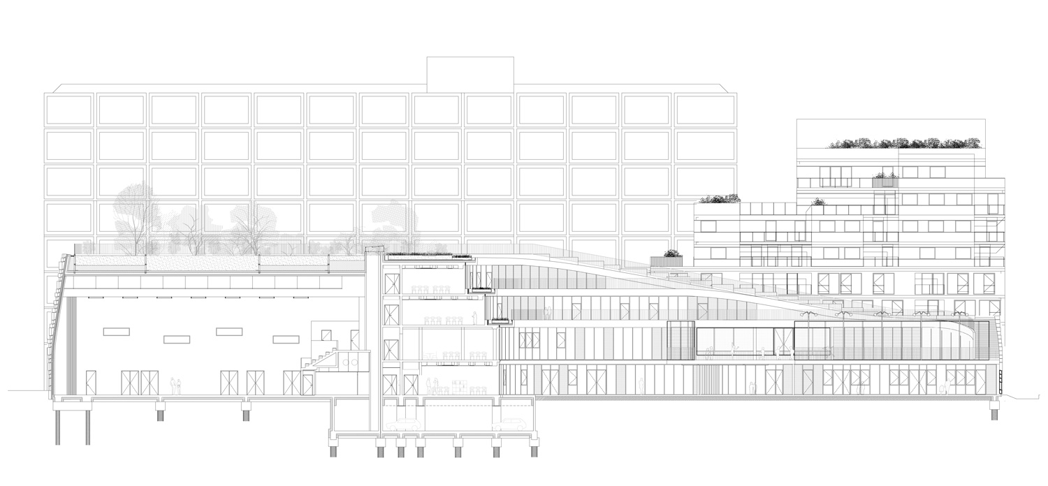 chartier dalix school for sciences and biodiversity designboom