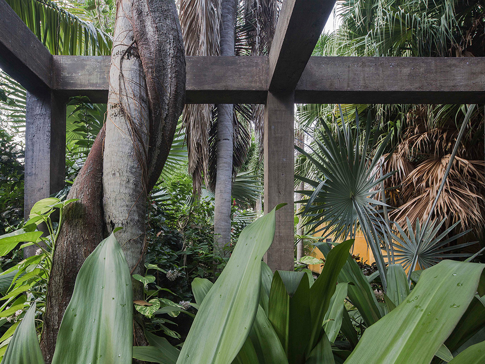 coa arquitectura estudio macias peredo casa chacala house jalisco mexico designboom