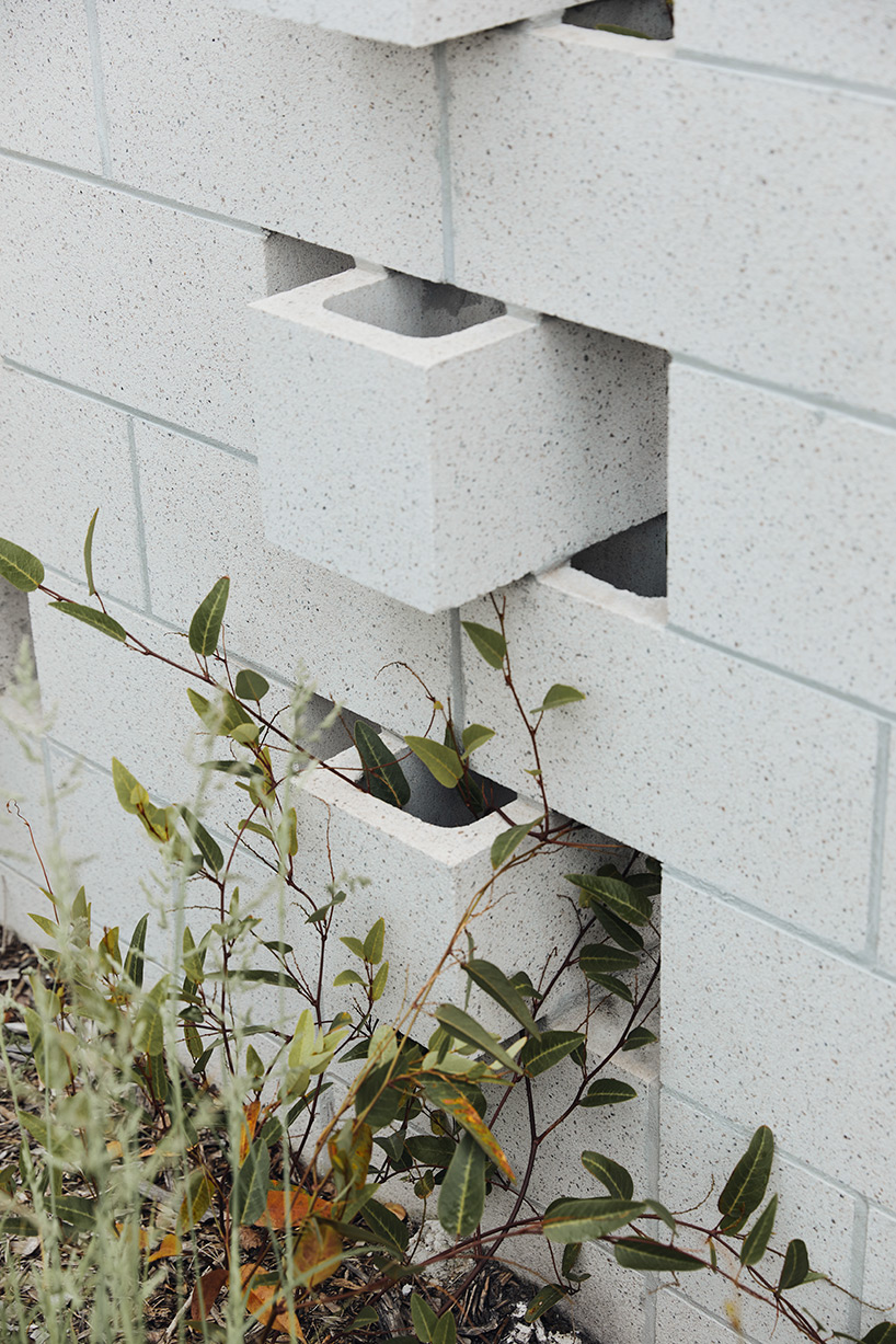 bellows-house-architects-eat-designboom-g-09