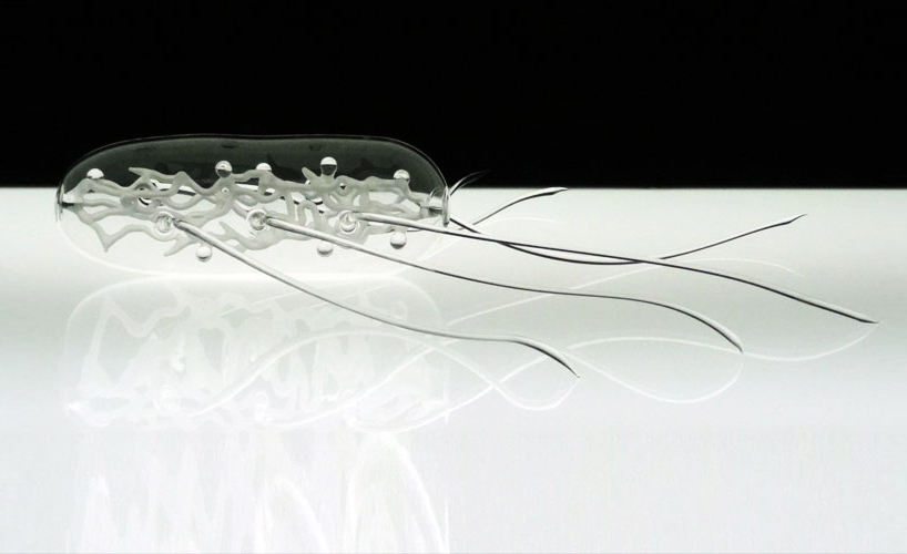 delicate glass sculptures of deadly viruses by luke jerram