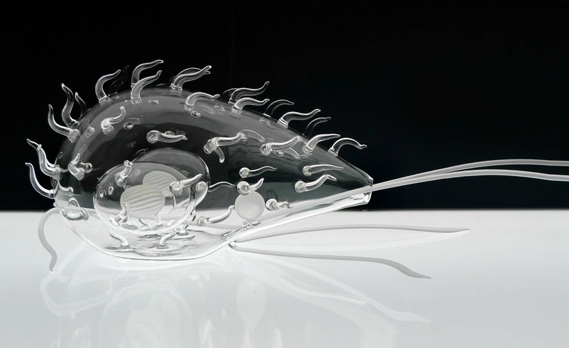 delicate glass sculptures of deadly viruses by luke jerram
