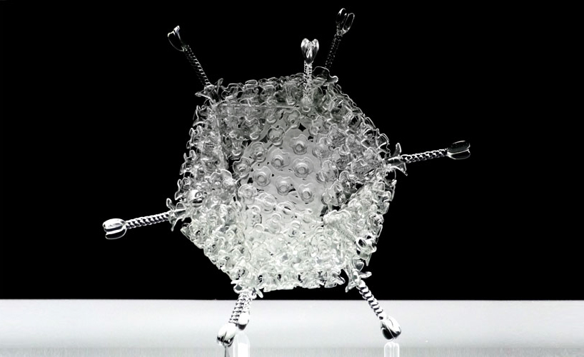 delicate glass sculptures of deadly viruses by luke jerram
