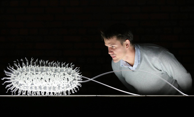 delicate glass sculptures of deadly viruses by luke jerram