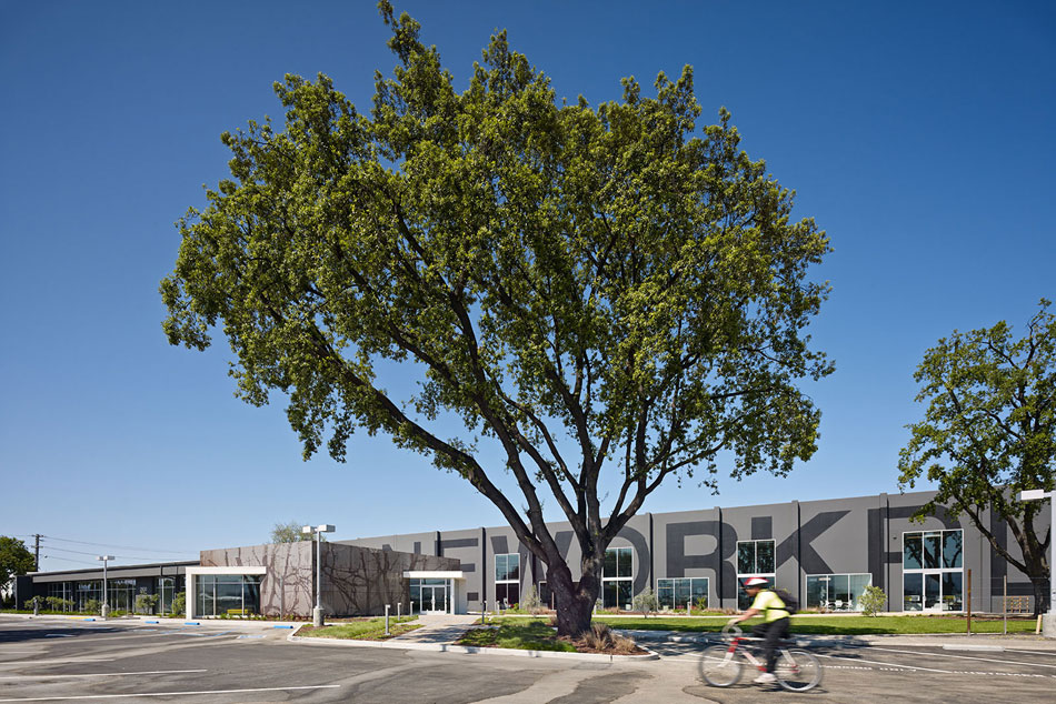 design blitz one workplace