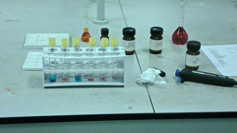 diddo-creates-a-life-sized-human-skull-out-of-street-cocaine-designboom-13