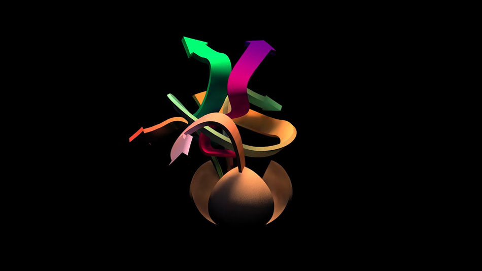 DOTMOV festival 2013 screening schedule