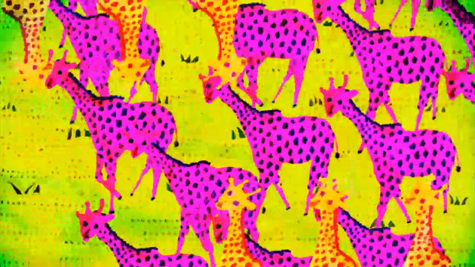 DOTMOV festival 2013 screening schedule