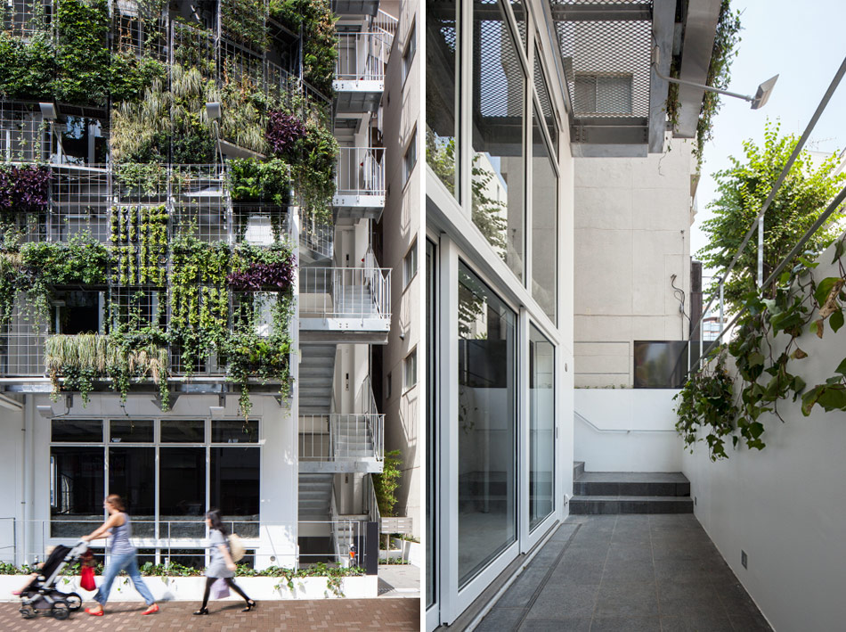 edward suzuki architecture: vent vert