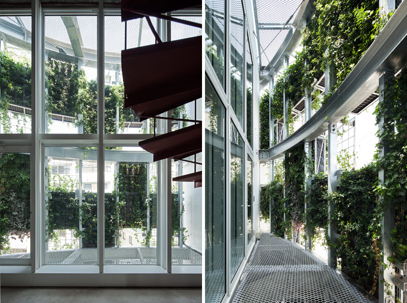 edward suzuki architecture: vent vert