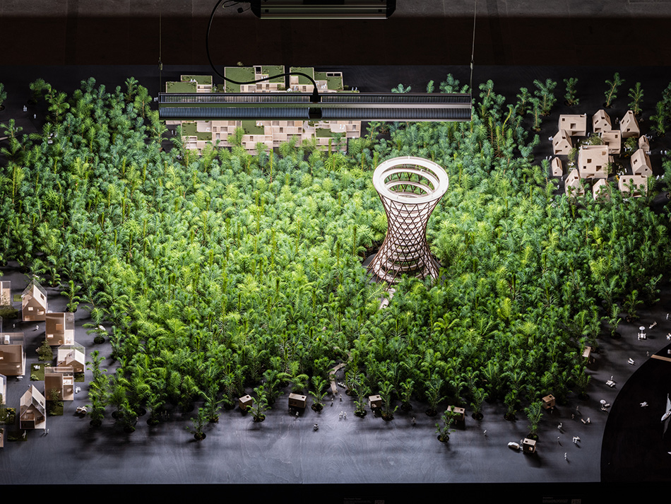 EFFEKT plants a miniature forest at the venice architecture biennale