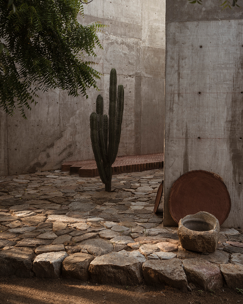 espacio-18-arquitectura-la-casa-del-sapo-mexico-designboom-g