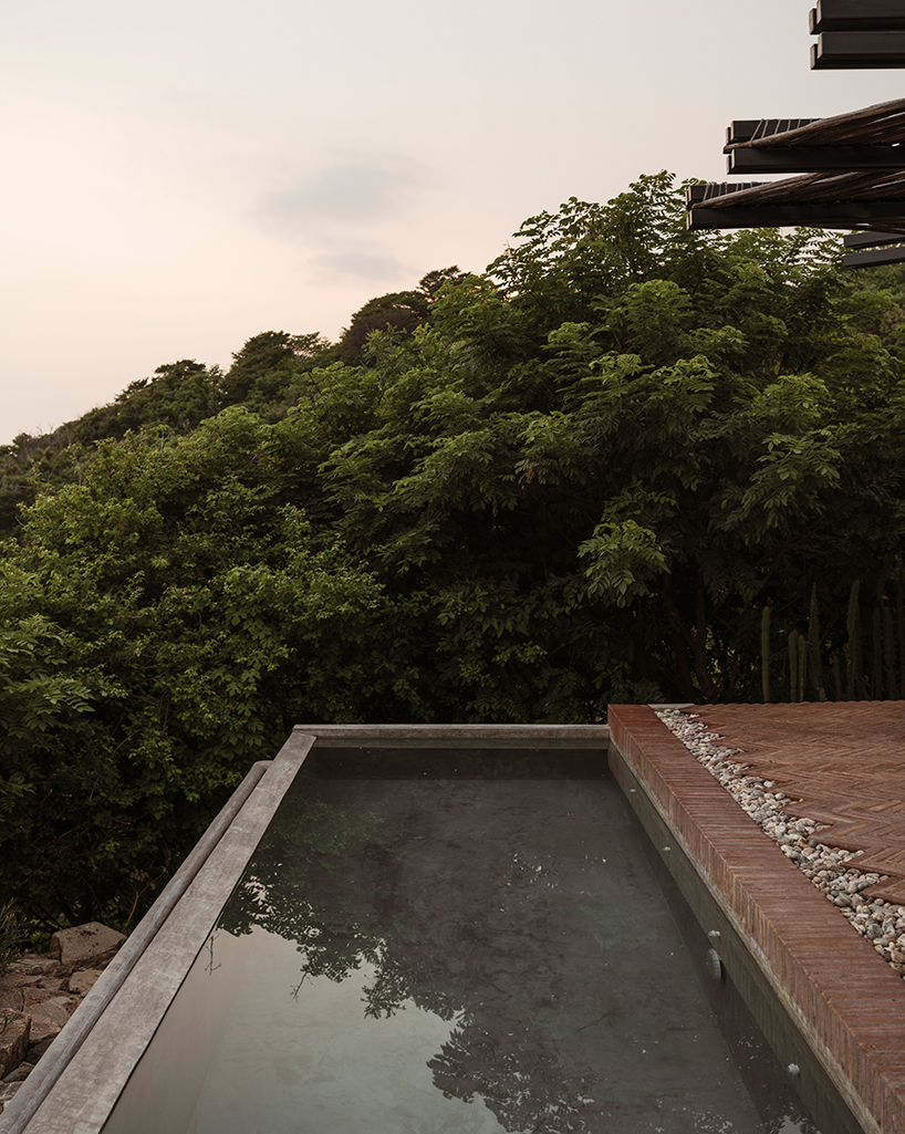 espacio-18-arquitectura-la-casa-del-sapo-mexico-designboom-h