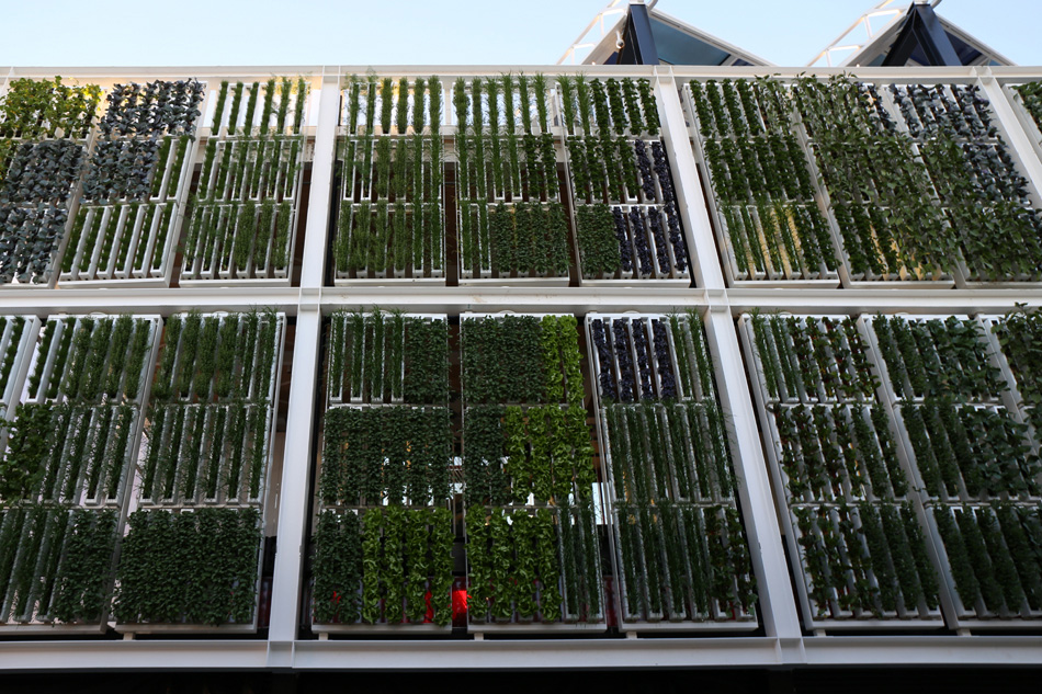 expo milano 2015 site visit final construction designboom