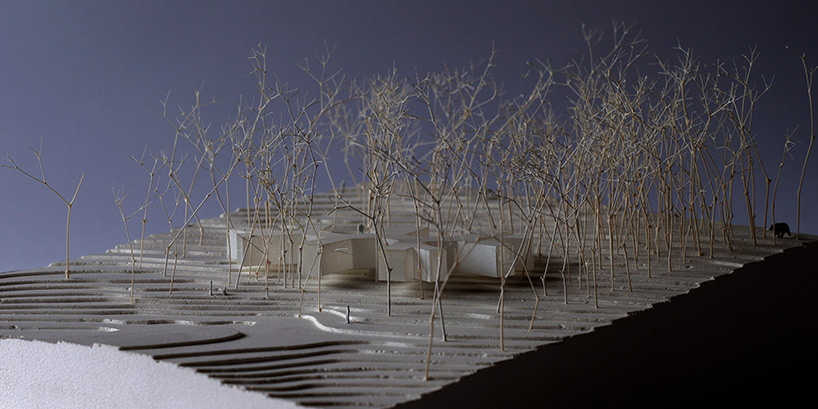 florian-busch-house-in-the-forest-hokkaido-japan-designboom-59