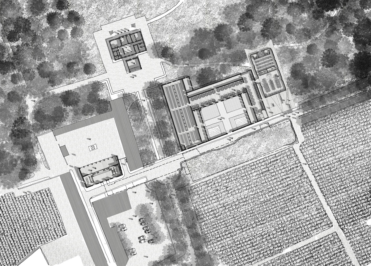 foster partners new winery chateau margaux designboom