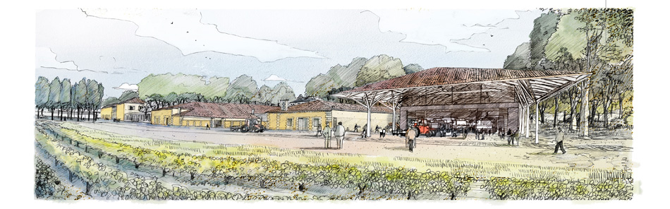 foster partners new winery chateau margaux designboom