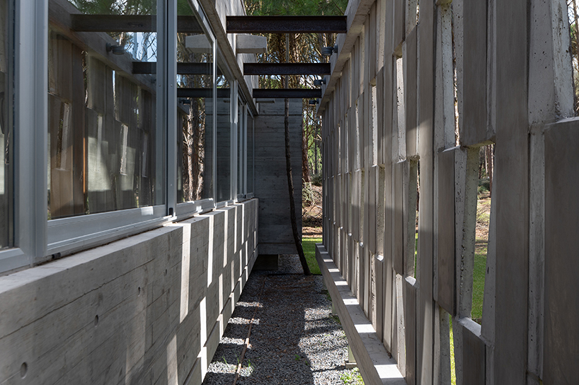 scale-like-concrete-facade-dwelling-horizontality-argentina-estudio-galera-designboom-c