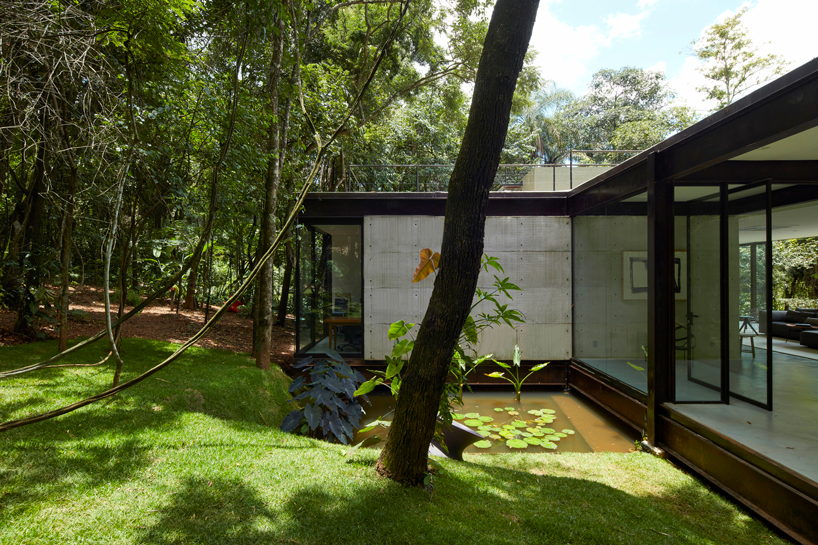 glass-house-angela-roldao-arquitetura-brazil-designboom-03
