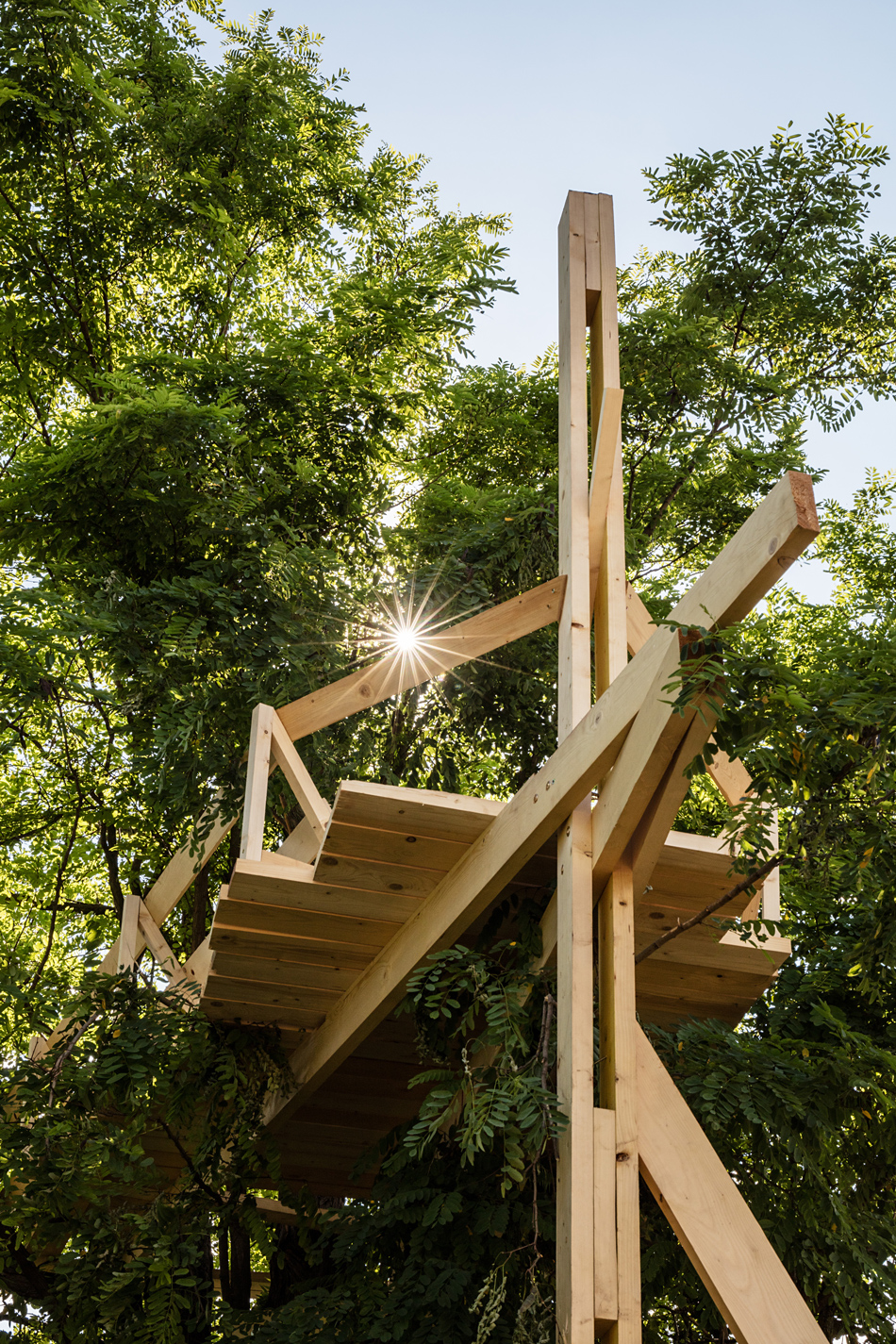 hello-wood-project-village-design-boom-005