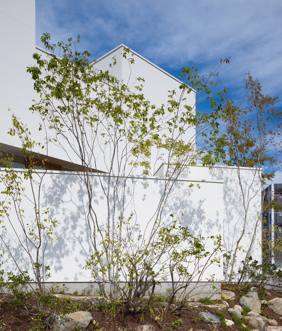 fujiwaramuro architects: house in minoh, japan 