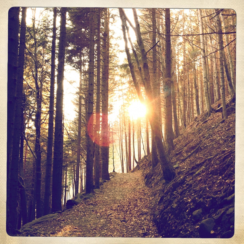 instagramers-gallery-designboom-20