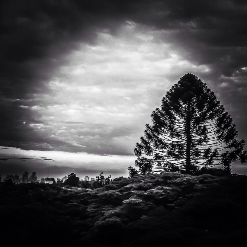 instagramers-gallery-designboom-23