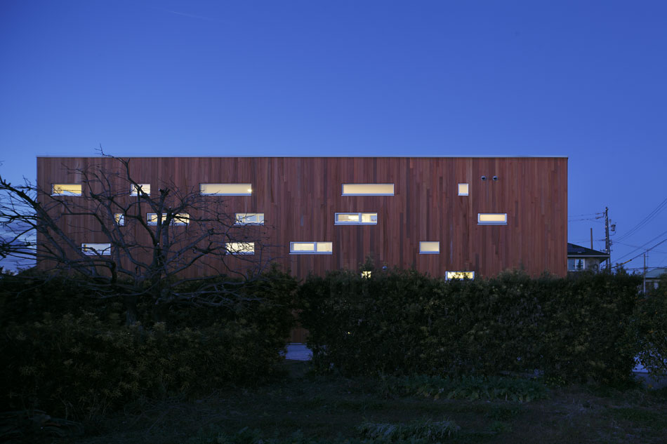 K2-design: rhythm and plum tree