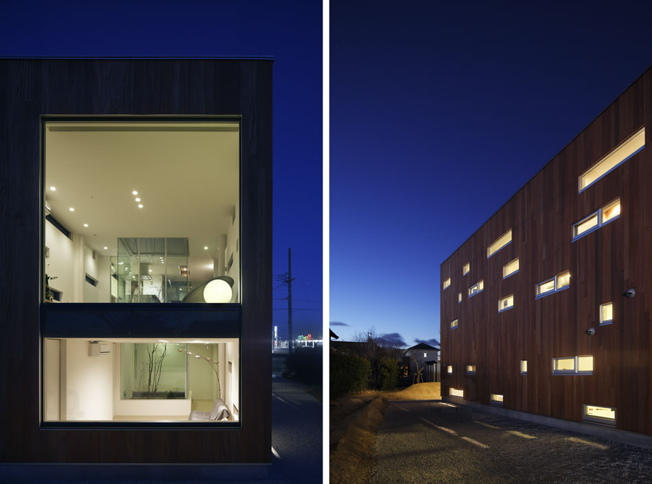 K2-design: rhythm and plum tree