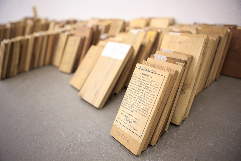 katie-paterson-zeller-moye-hollow-trees-designboom-101