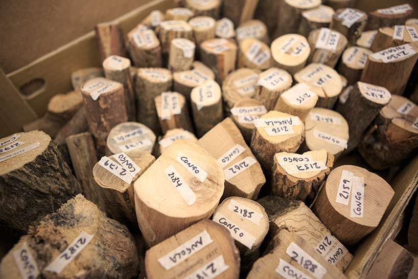 katie-paterson-zeller-moye-hollow-trees-designboom-104