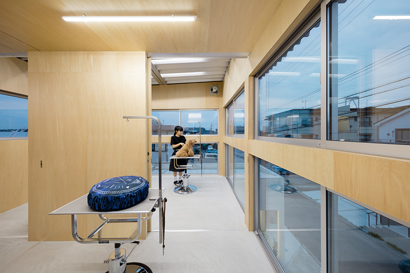 keisuke hatakenaka dog salon GRUM okazaki aichi designboom