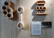 schloss-hollenegg-legacy-exhibition-curator-alice-stori-16