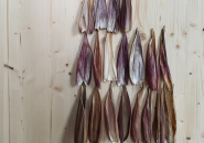 schloss-hollenegg-legacy-exhibition-curator-alice-stori-5