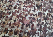 schloss-hollenegg-legacy-exhibition-curator-alice-stori-6