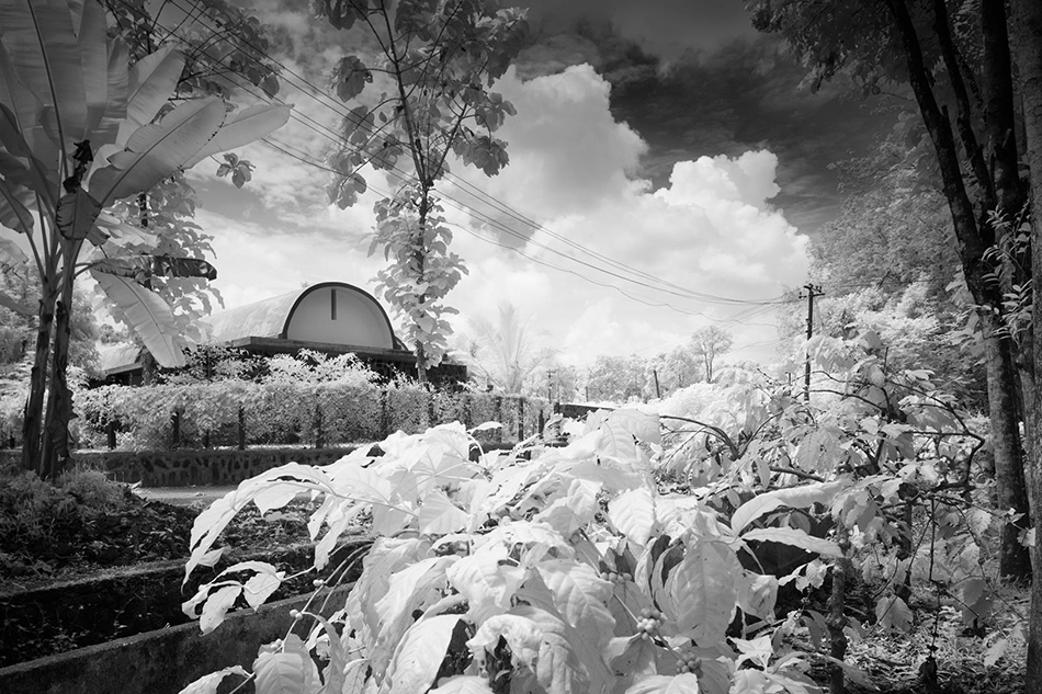 LIJO RENY architects the walls and vaults house kerala india designboom
