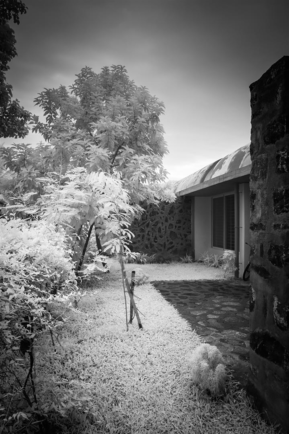 LIJO RENY architects the walls and vaults house kerala india designboom