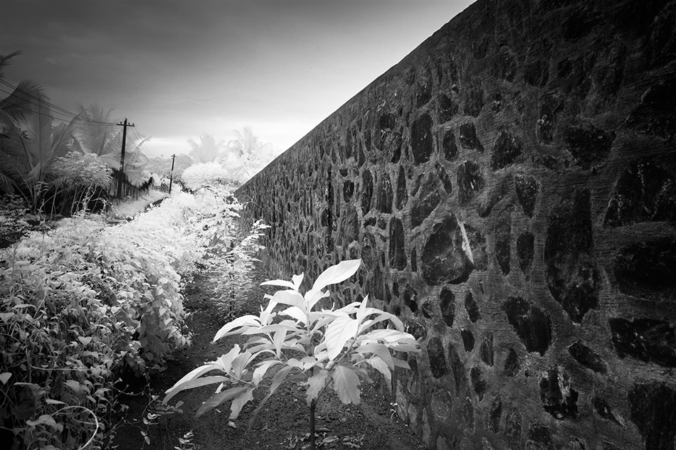 LIJO RENY architects the walls and vaults house kerala india designboom