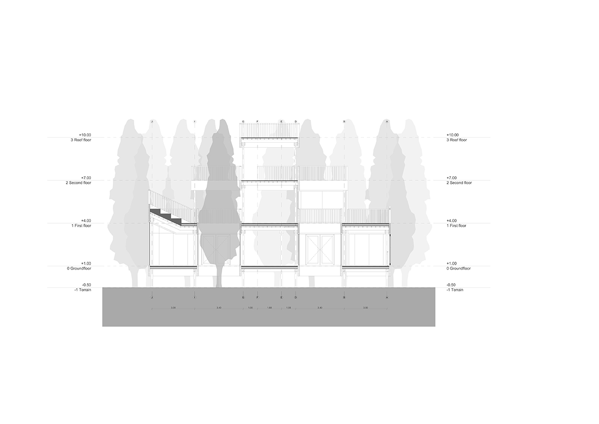 S5 Ginkgo Forest Station