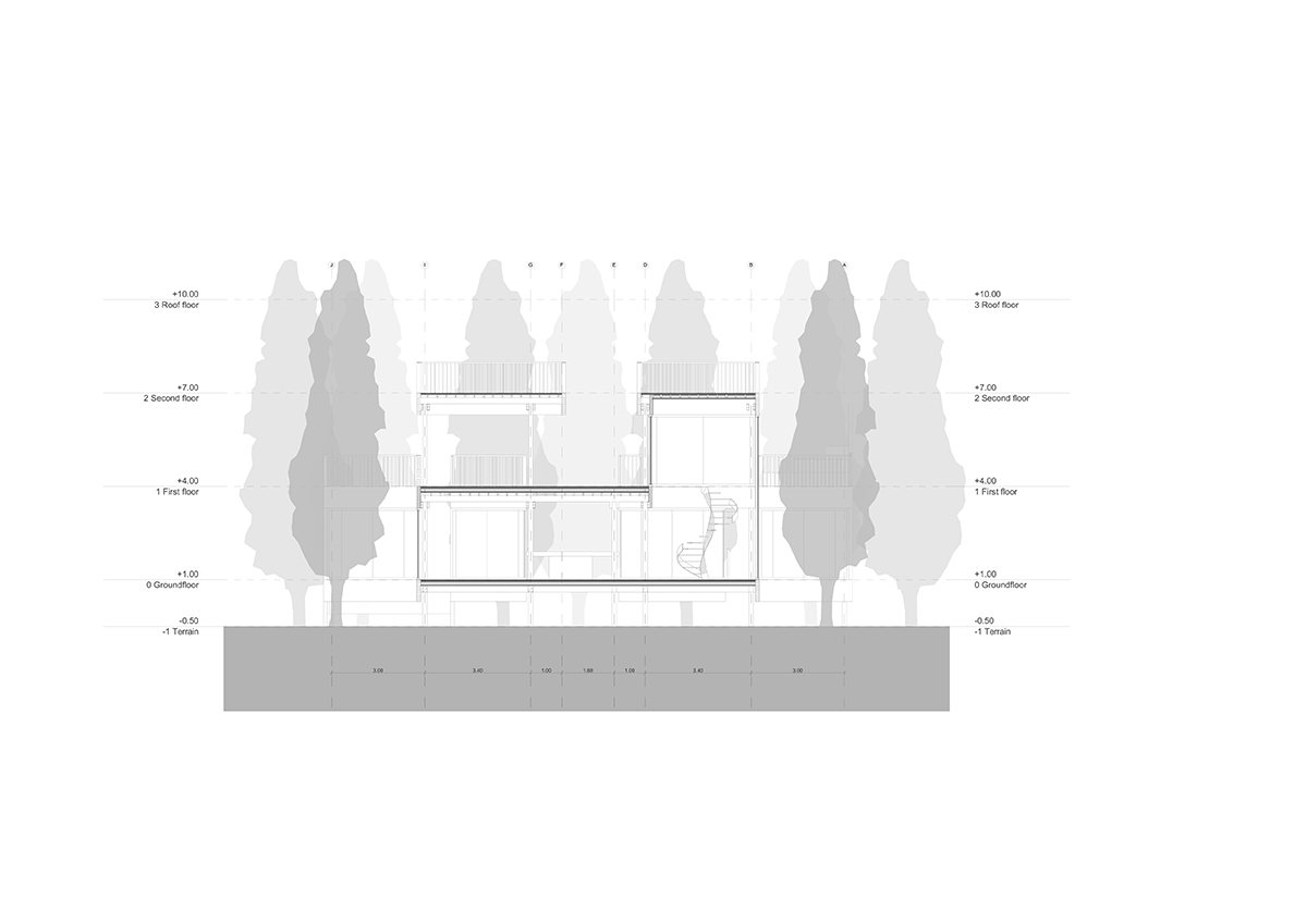 S5 Ginkgo Forest Station