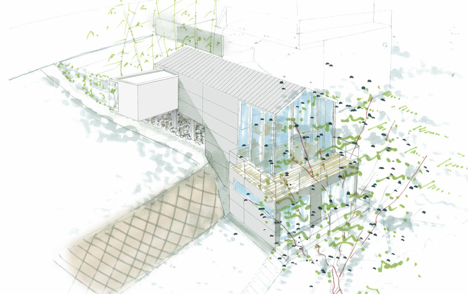 maniera architects and associates house with oak tree designboom