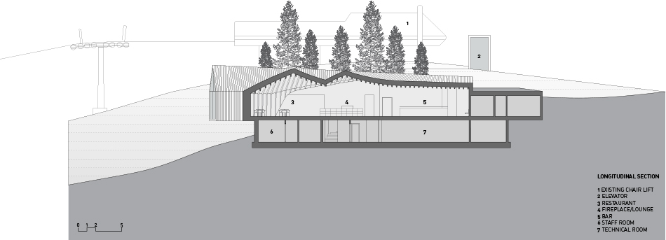 longitudinal_section_200