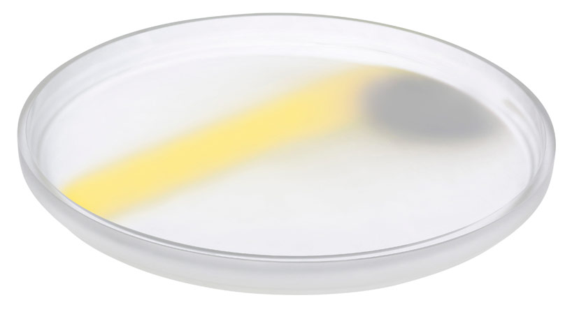 nude-glass-studio-formafantasma-pigmento-designboomg03