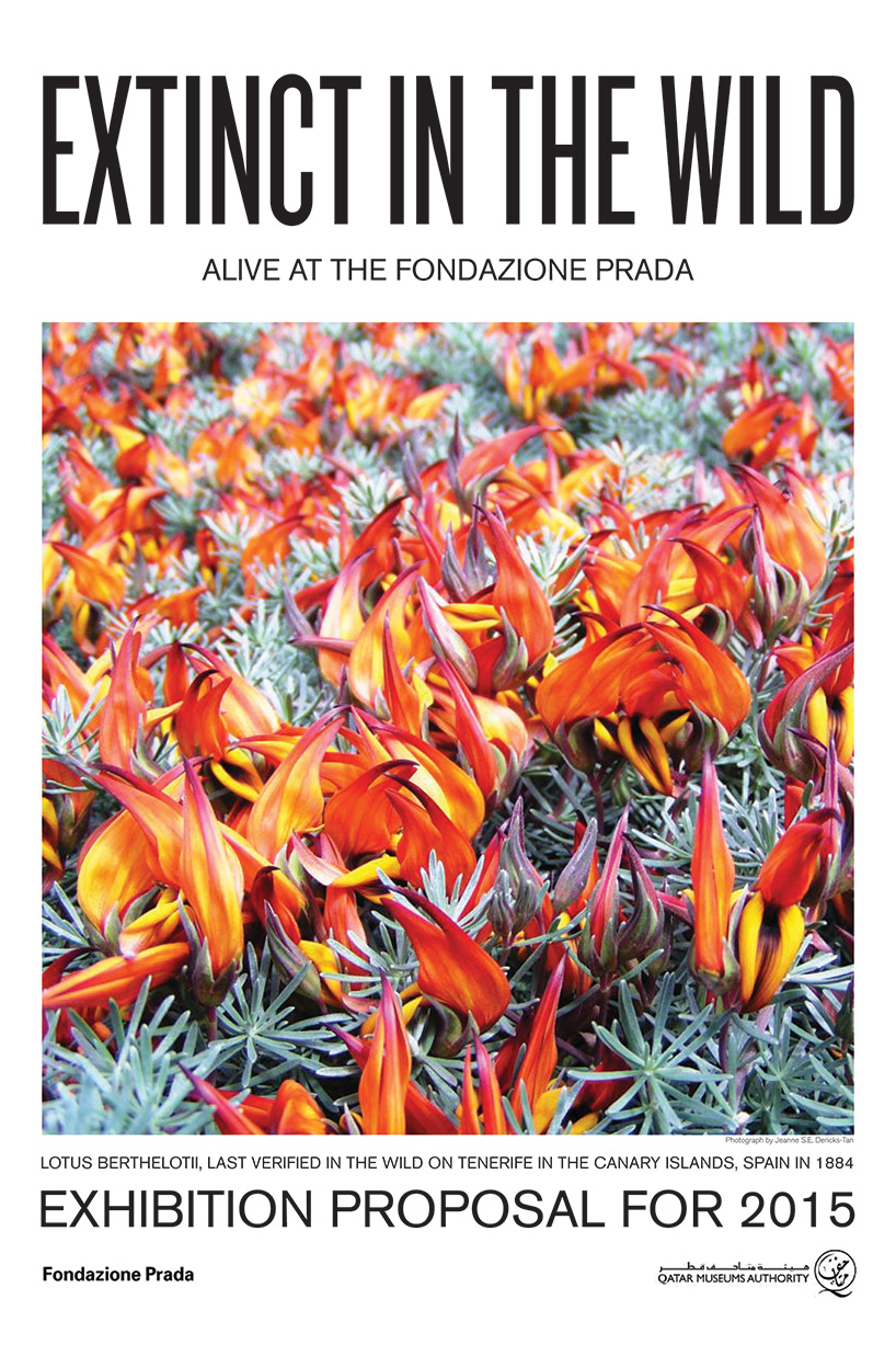 qatar museums authority and fondazione prada host curatorial award