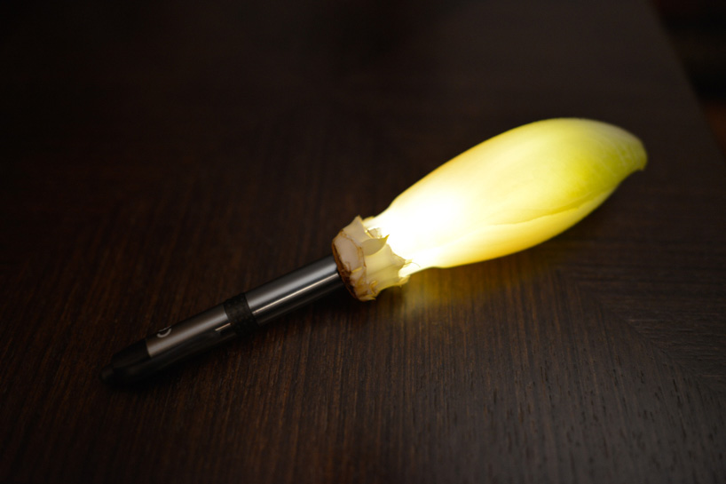 radu zaciu turns real fruits and vegetables into light bulbs