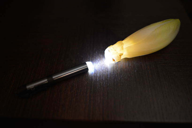 radu zaciu turns real fruits and vegetables into light bulbs