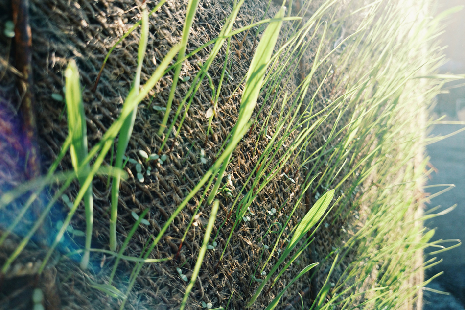raumlabor fountain house montreal canada designboom